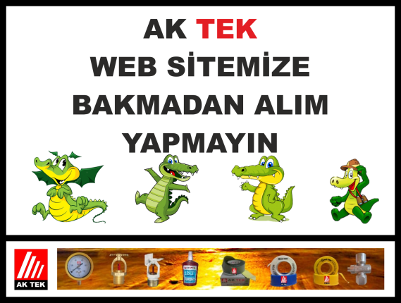 AK TEK WEB SİTESİ ALIM